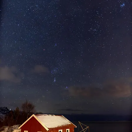 Perla In Lofoten - Big And Cosy Lofoten House Close To The Sea Feriehus