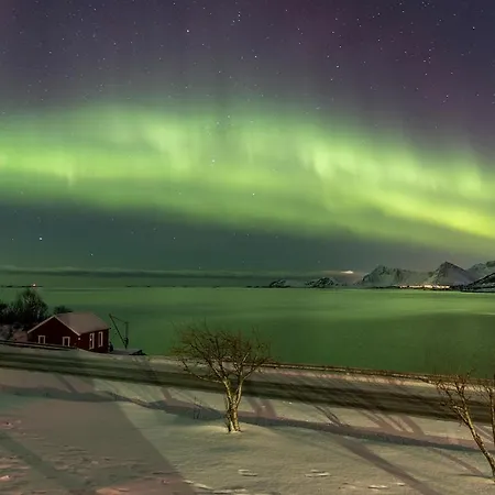 Perla In Lofoten - Big And Cosy Lofoten House Close To The Sea * Sundklakk